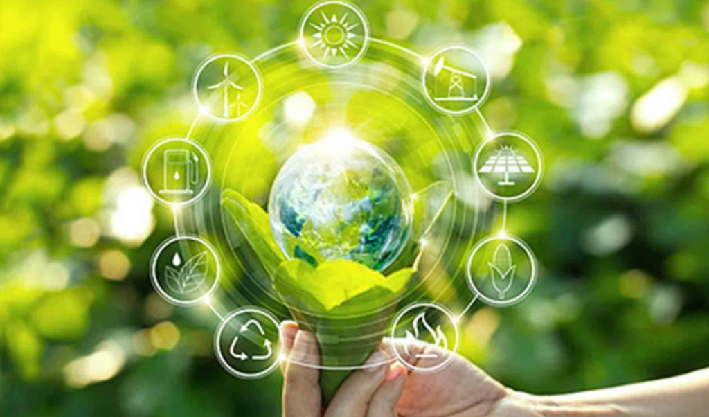 The Environmental Impact of Tree Removal & Sustainable Alternatives
